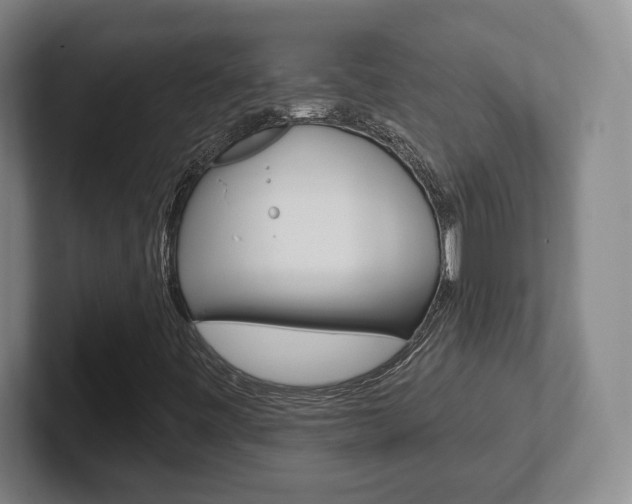 X0000102291443200807250951