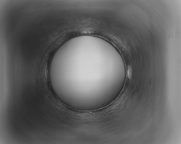 X0000102291444200807250951