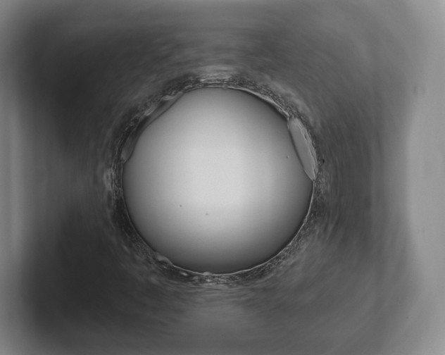 X0000102291445200807250951