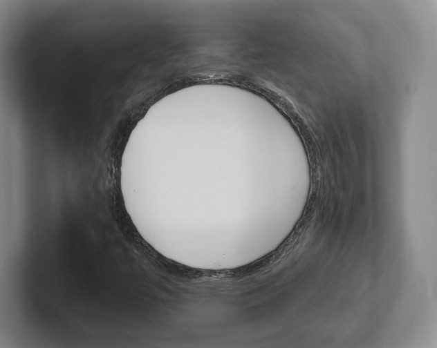 X0000102291447200807250951