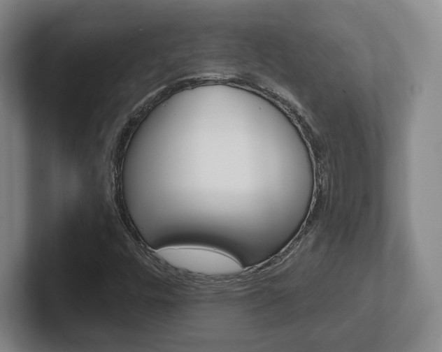 X0000102291448200807250951