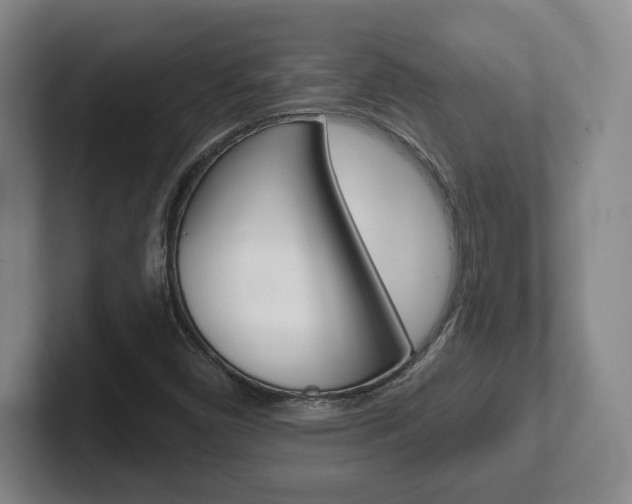 X0000102291450200807250951