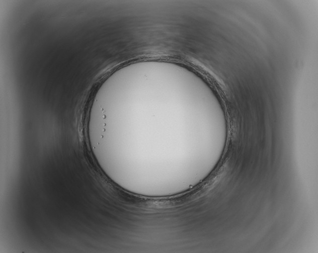 X0000102291451200807250951