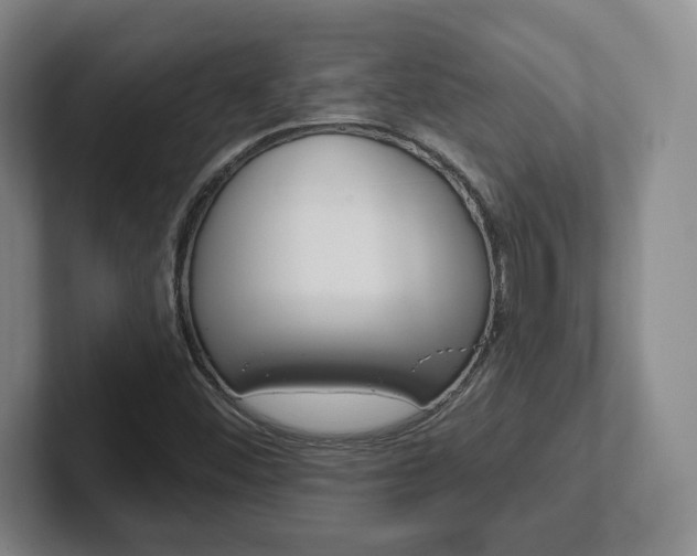 X0000102291452200807250951