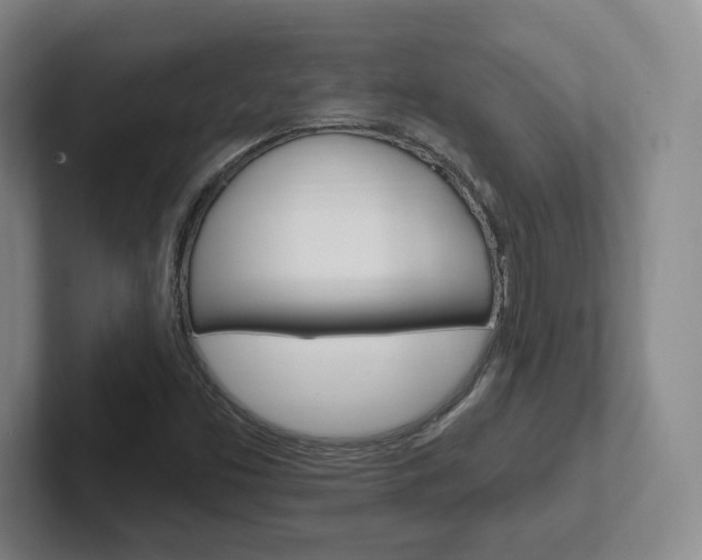 X0000102291453200807250951