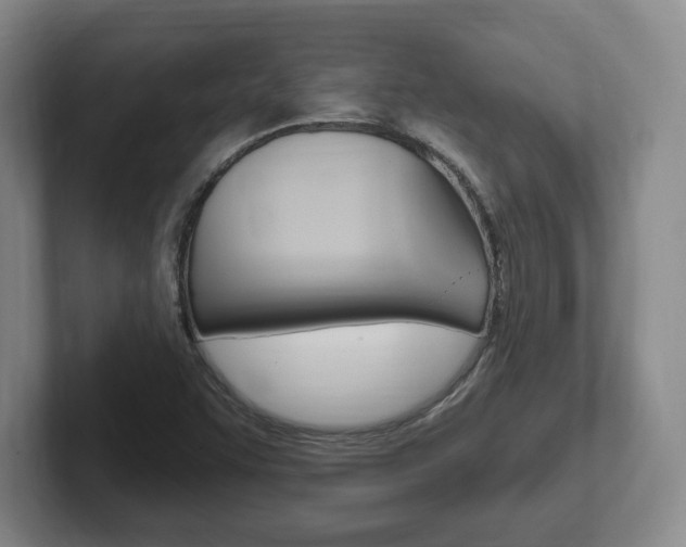 X0000102291455200807250951
