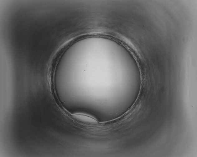 X0000102291456200807250951