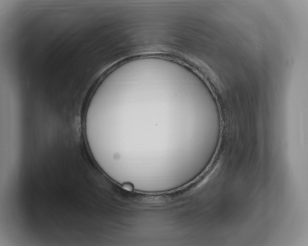 X0000102291457200807250951