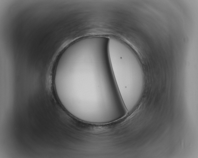 X0000102291459200807250951