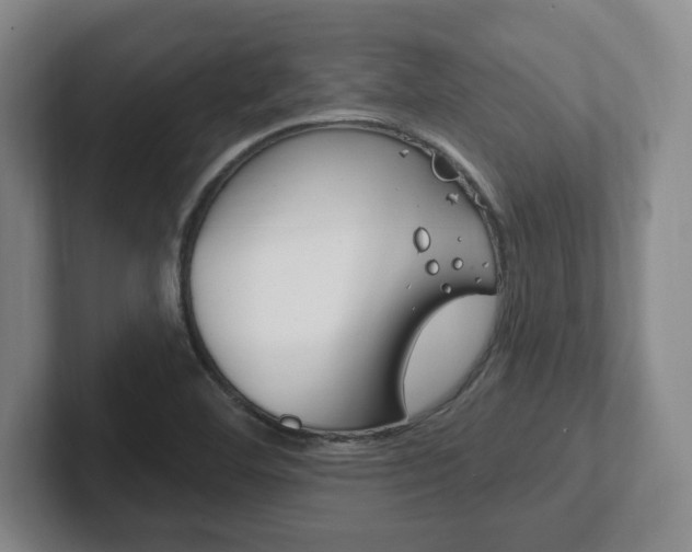 X0000102291460200807250951