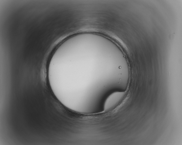 X0000102291461200807250951