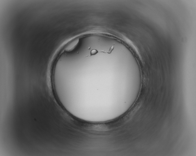 X0000102291464200807250951
