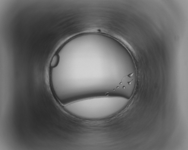 X0000102291468200807250951
