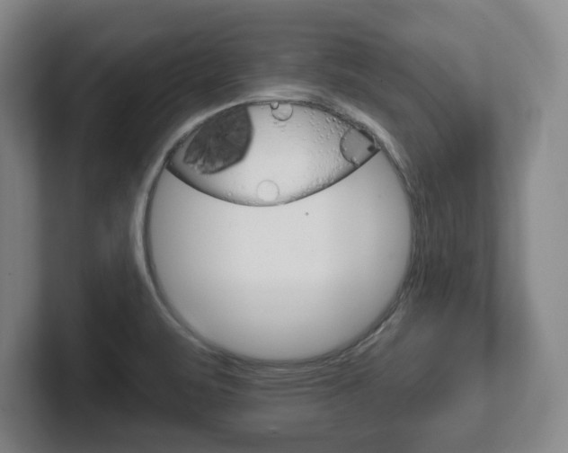 X0000102291471200807250951