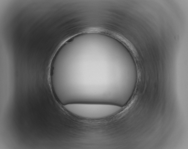 X0000102291473200807250951