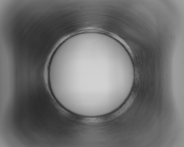 X0000102291474200807250951