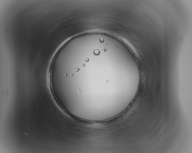 X0000102291476200807250951