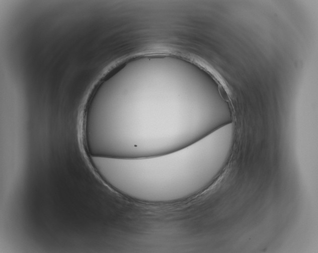X0000102291477200807250951