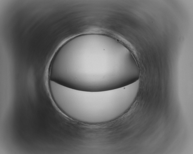 X0000102291479200807250951