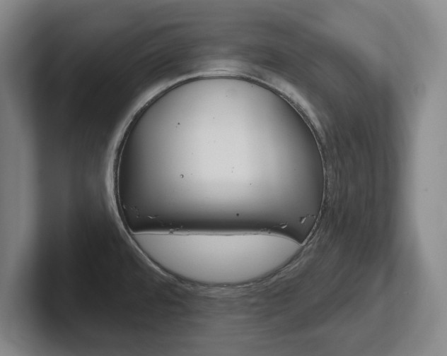 X0000102291480200807250951