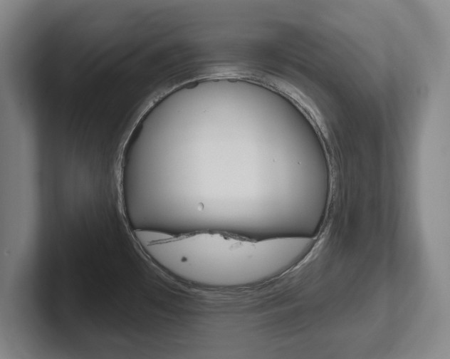X0000102291481200807250951