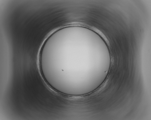 X0000102291482200807250951