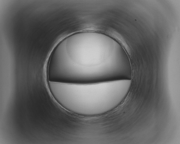 X0000102291483200807250951