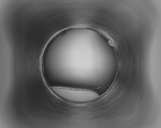 X0000102291484200807250951