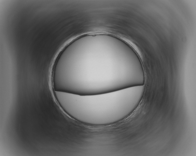 X0000102291485200807250951