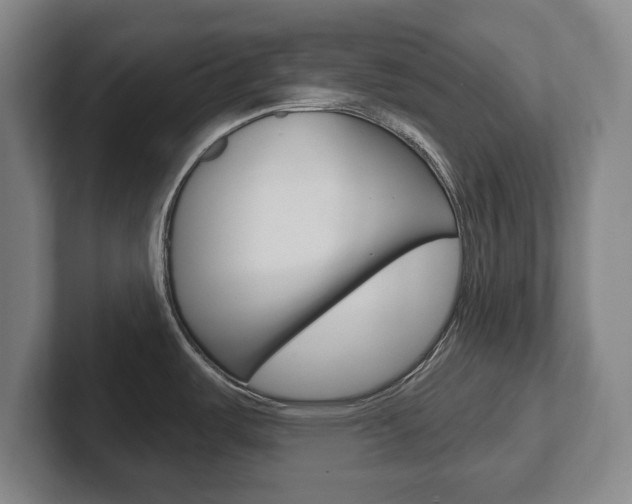 X0000102291487200807250951