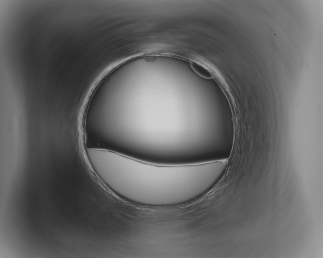X0000102291488200807250951