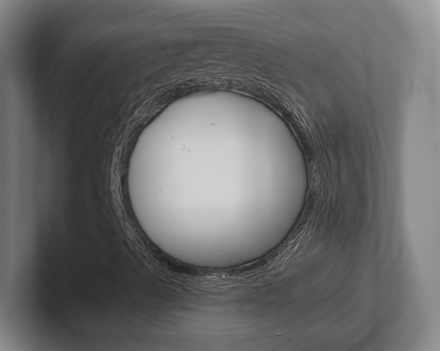 X0000102291489200807250950