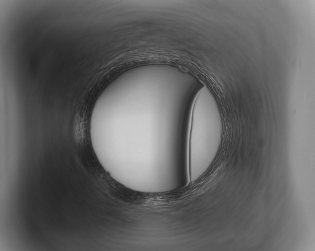 X0000102291490200807250950
