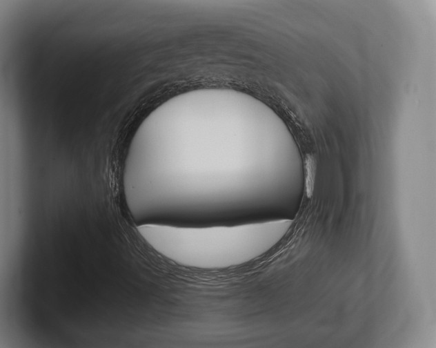 X0000102291491200807250950