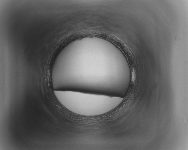 X0000102291492200807250950