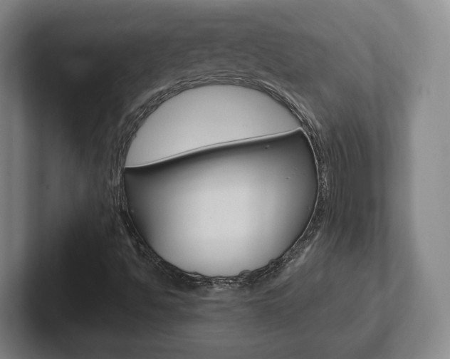 X0000102291494200807250950