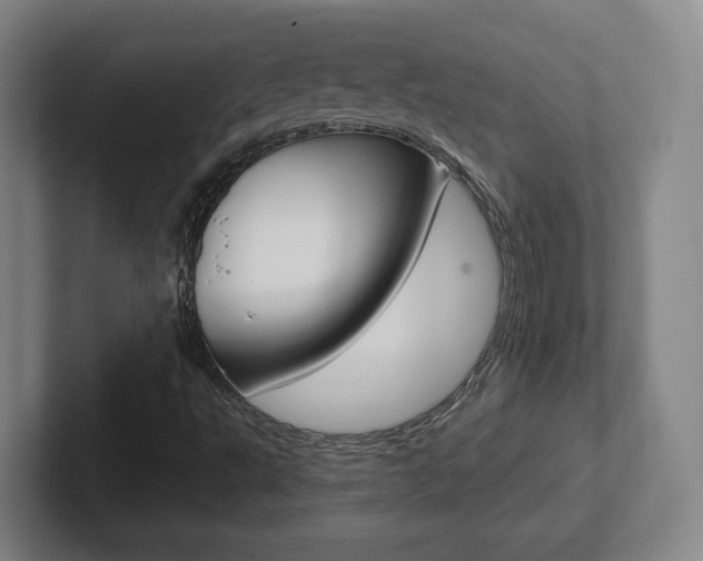 X0000102291495200807250950
