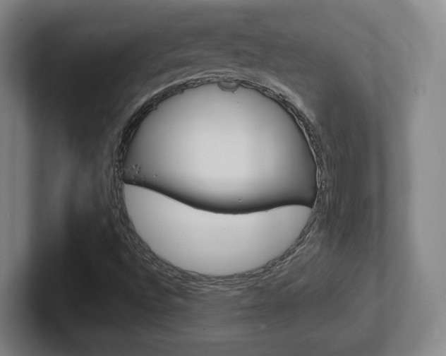 X0000102291496200807250950