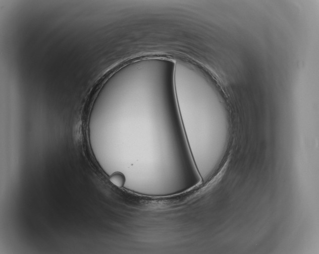 X0000102291497200807250950