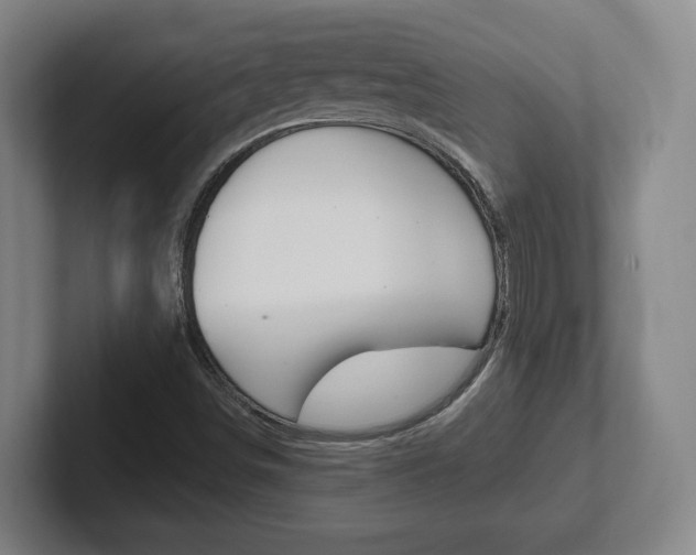 X0000102291498200807250950