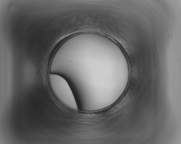 X0000102291499200807250950
