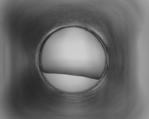X0000102291500200807250950