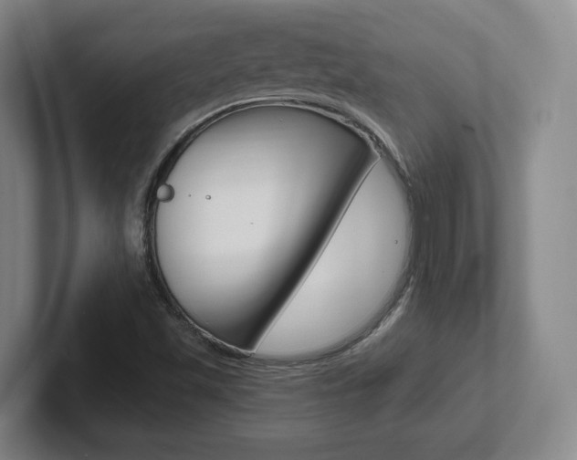 X0000102291501200807250950