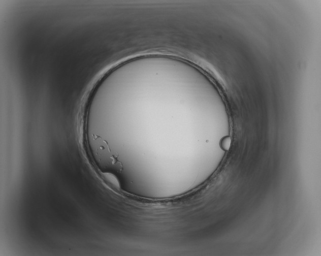X0000102291504200807250950