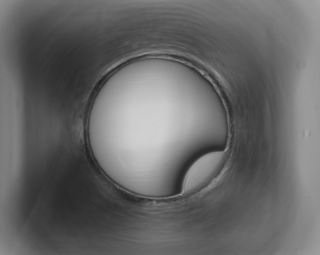 X0000102291505200807250950