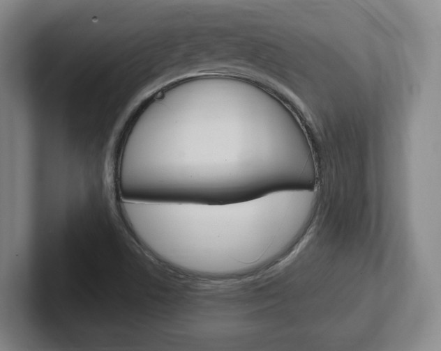 X0000102291506200807250950