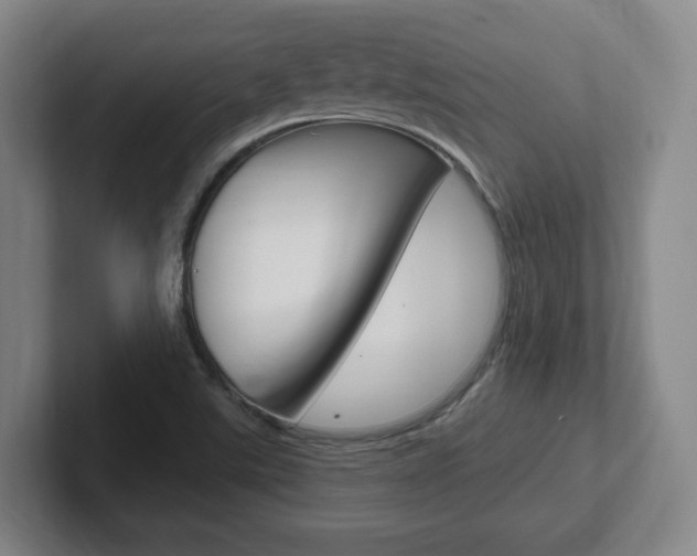 X0000102291507200807250950