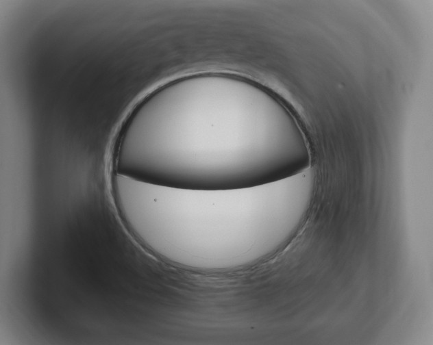 X0000102291508200807250950