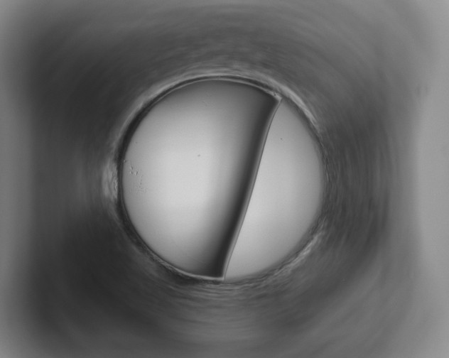 X0000102291509200807250950