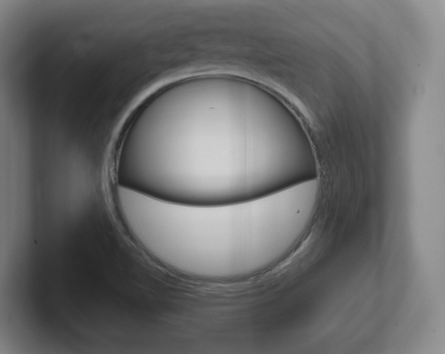 X0000102291510200807250950